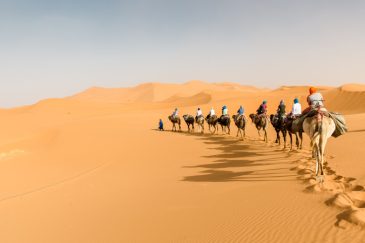 Sahara