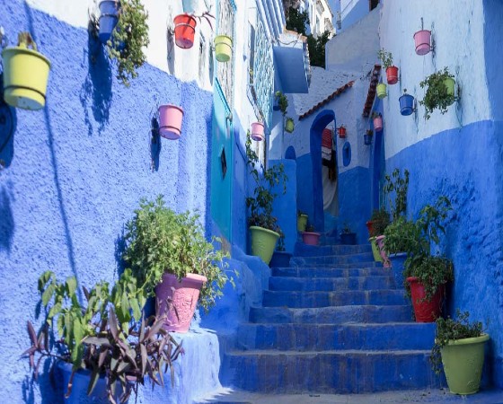 Discover Blue Town in Half a Day