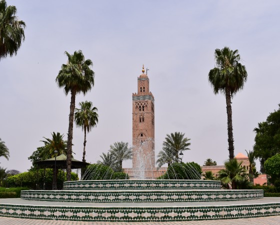 Explore Ancient Marrakech City