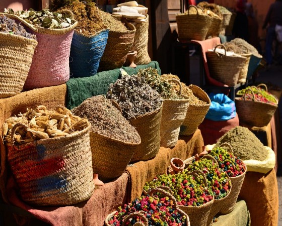 Moroccan Village Excursion