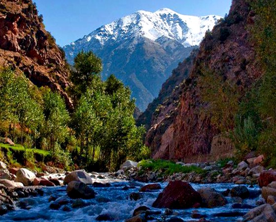 Ourika Valley Day Excursion